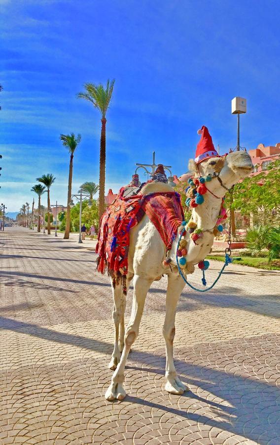 The Touristic Promenade Apartment Hurghada Exteriör bild