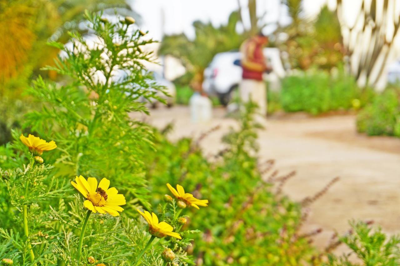 The Touristic Promenade Apartment Hurghada Exteriör bild